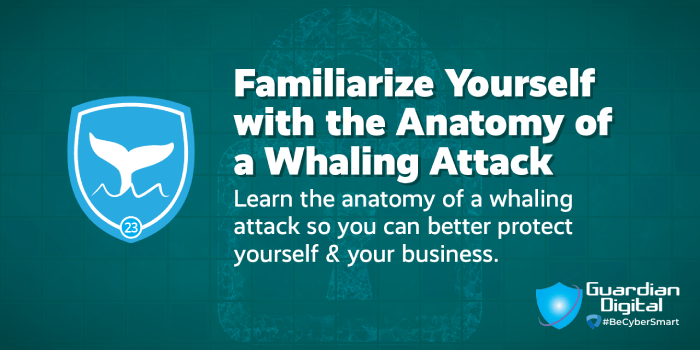 Familiarize Yourself with the Anatomy of a Whaling Attack