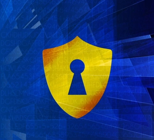 cybersecurity encryption shield
